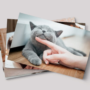 Packs de fotos